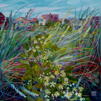 Image 1 of Wild Clematis