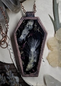 Image 1 of Coffin Amulet - Betta Fish