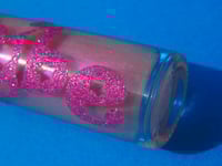 Image 3 of Rosy Seashell 