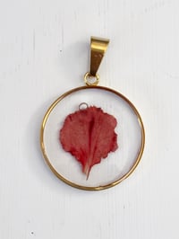 Image 2 of Carnation Petal