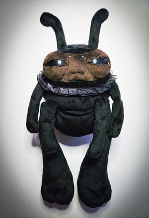 Black Ant!! ☆🐜☆