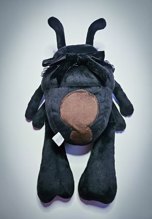 Black Ant!! ☆🐜☆