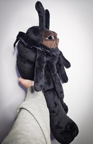 Black Ant!! ☆🐜☆