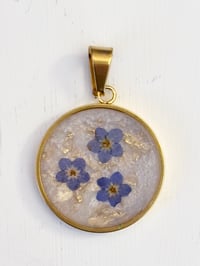 Image 2 of Forget Me Not