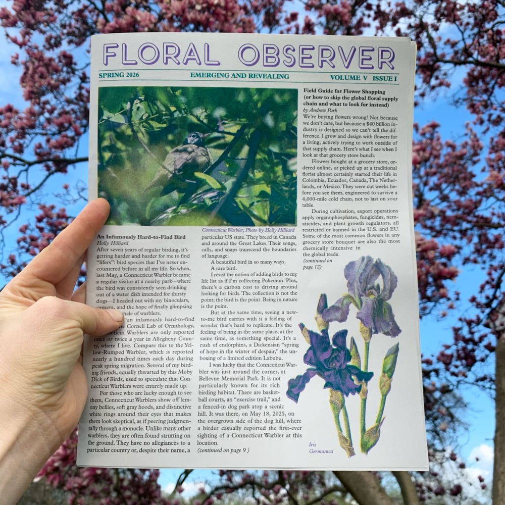 Spring Floral Observer 2026