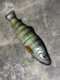 Image 1 of Immortal Trout 7.7 “Satin Perch”
