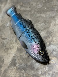 Image 2 of Immortal Trout 7.7 “Blue World”
