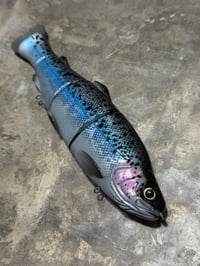 Image 1 of Immortal Trout 7.7 “Blue World”