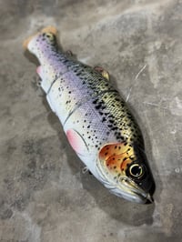 Image 2 of Immortal Trout 7.7 “Gold Leaf”