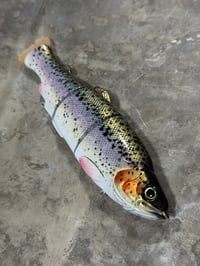 Image 1 of Immortal Trout 7.7 “Gold Leaf”