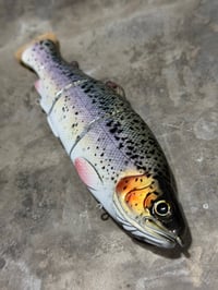 Image 3 of Immortal Trout 7.7 “Gold Leaf”