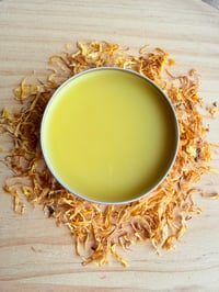 Image 1 of Calendula Salve 2 oz