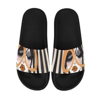 Image 1 of STRIPED RUNWAY SLIDE