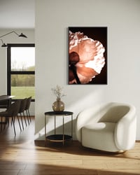 Image 3 of Poppy #21