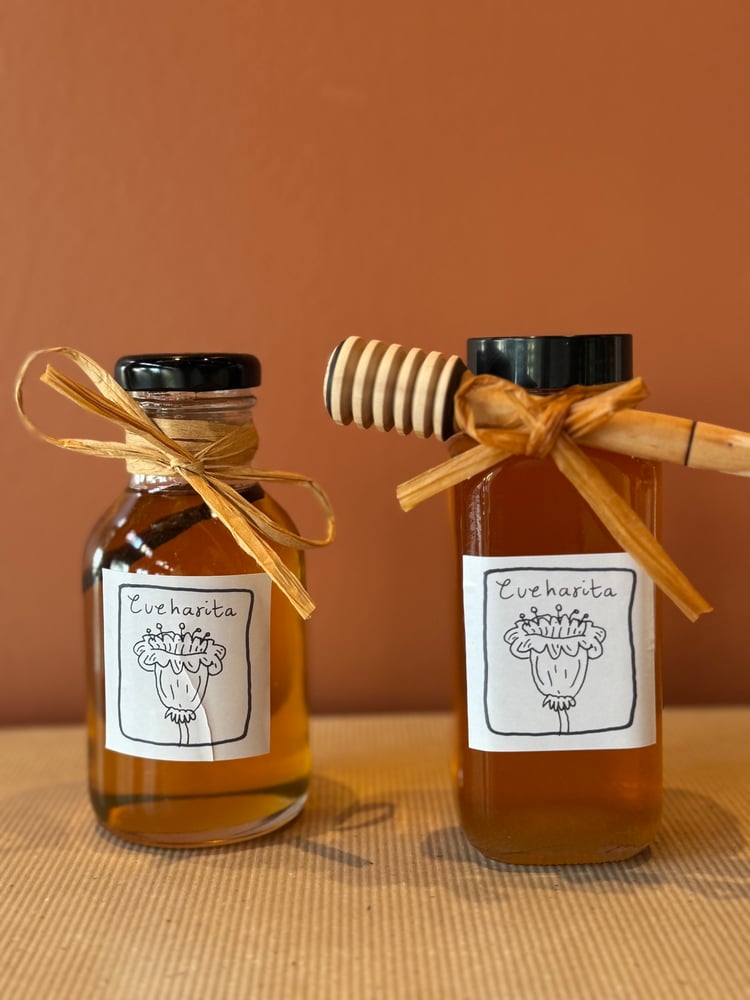 Image of Agave Syrup with vainilla bean($10) & Local Honey ($12)