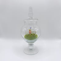 Image 1 of Vintage Work of Whimsy Happy gnome terrarium