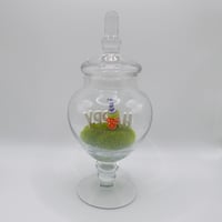 Image 4 of Vintage Work of Whimsy Happy gnome terrarium