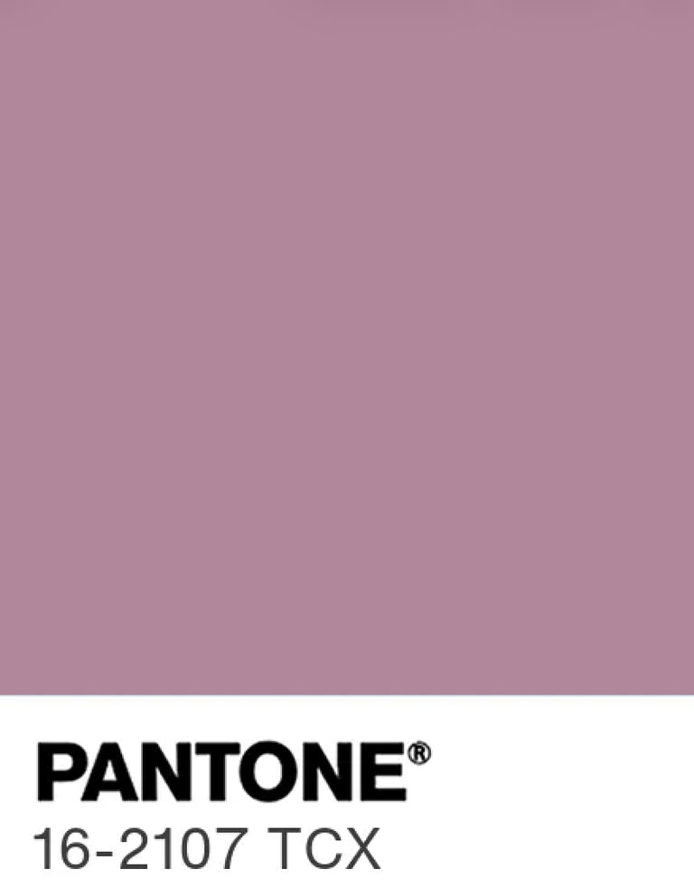 Mood for Mauve Vegan "Cassandra" Dressing Gown Image 2