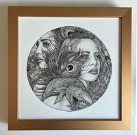 Image 2 of Great Peacock