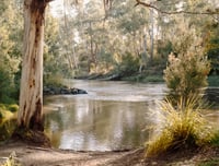 Image 1 of YARRA 02
