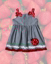 Image 1 of Checkered Ladybug Summer Dress-24m