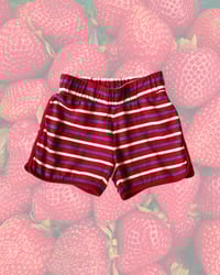 Image 1 of Hanna Andersson Striped Shorts-8