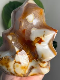 Image 4 of XL ORCA CARNELIAN FLAME -MADAGASCAR-
