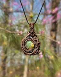 Image 1 of Verdant Veil