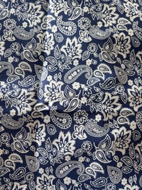 Blue Paisley