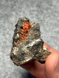 Image 5 of Crocoite Cluster Specimen From Tasmania #2424