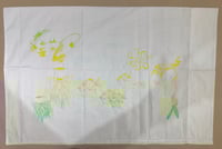 Image 3 of Lifecycle of the Jellyfish