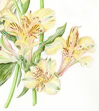 Image 3 of Mixed Floral Bouquet Card - NEW!