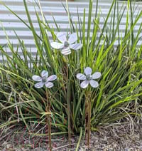 Image 2 of Everlasting Flower Posy | Galvanised Buttercup