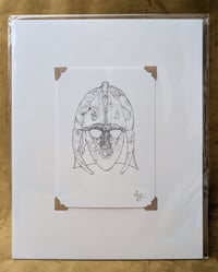 Image 5 of Small Giclée Prints - Mounted and Signed