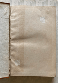 Image 8 of Common Objects of the Seashore