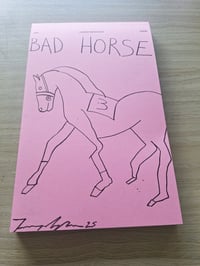 Image 1 of Bad horse