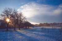 Marple Rec 2
