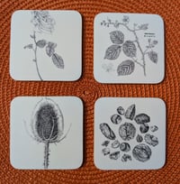 Image 2 of Coasters - Floral and Botanical, Local, Musical