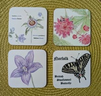 Image 1 of Coasters - Floral and Botanical, Local, Musical