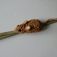 Image 3 of Harvest Mice