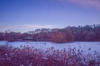 Roman Lakes
