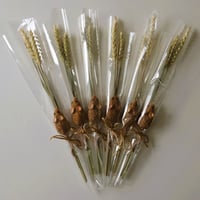 Image 5 of Harvest Mice