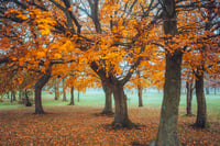 Marple Golf Course, Autumn