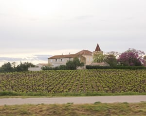 Image of Platinum 2mm flat court ‘Olive leaf’ and milled edge engraved wishbone ring