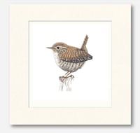 Image 5 of WREN ART PRINT