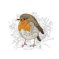 Image 1 of ROBIN REDBREAST ART PRINT
