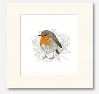 Image 4 of ROBIN REDBREAST ART PRINT
