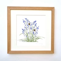 Image 3 of BLUEBELL  ART PRINT