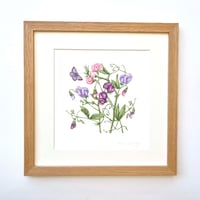 Image 3 of SWEETPEA  ART PRINT