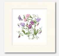 Image 5 of SWEETPEA  ART PRINT